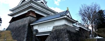 Alojamientos con onsen en Kaminoyama