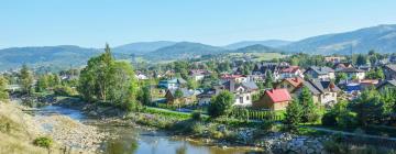 Hotels mit Parkplatz in Węgierska Górka