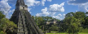 Hotels with Pools in Tikal