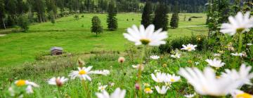 Hoteles en Disentis