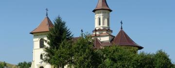 Pensjonaty w mieście Mănăstirea Humorului