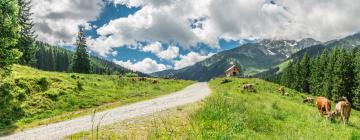 Hotels with Parking in Wildschönau