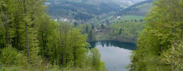 Cheap Hotels in Lutzerath