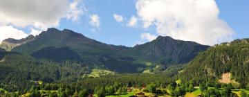 Hotel dengan parkir di Krummenau