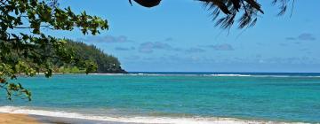 Hotels in Tanna Island