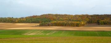 Hotele w mieście Sauvigny-le-Bois