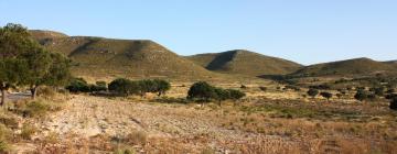 Hoteles en El Pozo de los Frailes