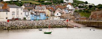 Pet-Friendly Hotels in Watchet