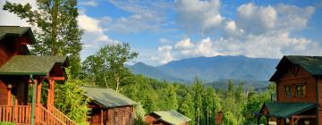 Дома для отпуска в городе Chalet Village