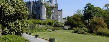 Bed and breakfasts a Birr