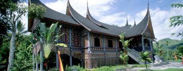 Hotels in Padang