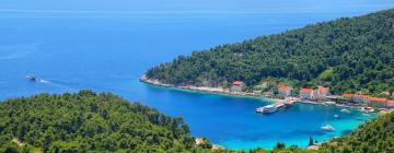 Holiday Rentals in Trstenik