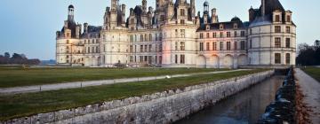 Casas de Hóspedes em Muides-sur-Loire