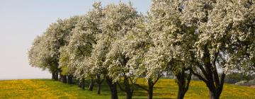 Hotely s parkovaním v destinácii Waidhofen an der Ybbs