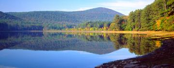 Cheap holidays in Catskill