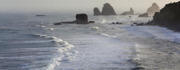 Hoteles en Punakaiki