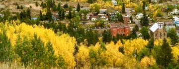 Holiday Homes in Central City