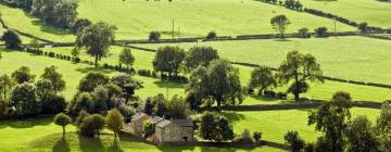 Cottages à Spennymoor