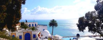 Hôtels à Sidi Bou Saïd