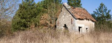 Alquileres vacacionales en La Roche-Posay