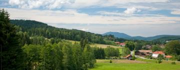 Guest Houses in Bayerisch Eisenstein