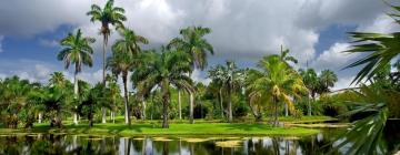 Vandrerhjem i Miami Gardens