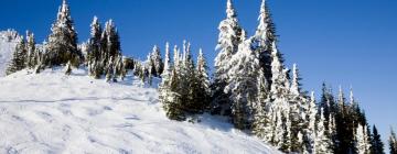 Ski Resorts in Kimberley