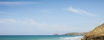 Pet-Friendly Hotels in Perranporth