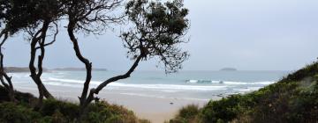 Cottages in Emerald Beach