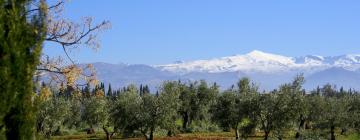 Alquileres temporarios en Bérchules