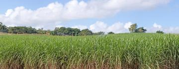 Casas de Hóspedes em Pongola