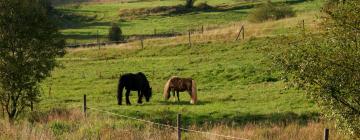 Casas en Hasselfelde