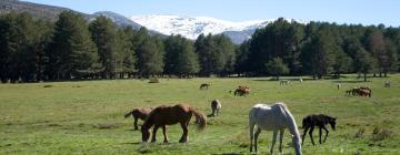 Departamentos en Piedrahita