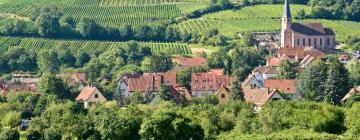 Hotels with Parking in Andlau