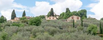 Holiday Rentals in Lucciana
