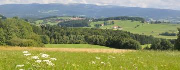 Hotels met Parkeren in Walkertshofen