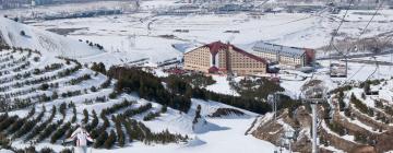 Hoteles que admiten mascotas en Erzurum