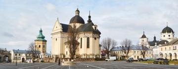 Hotel di Zhovkva