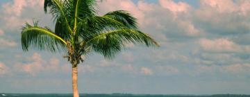 Vacanze economiche a North Palm Beach