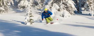 Hotels in Rossland