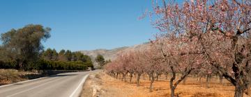 Hotels with Parking in Alcalalí