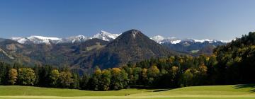 Ferieboliger i Zimmerau