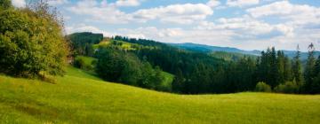 Hotely s parkováním v destinaci Boskovice