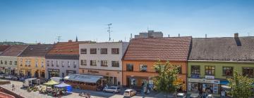 Hotels with Parking in Kyjov