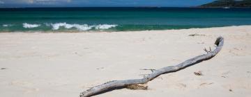 Vacation Rentals in Salamander Bay