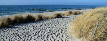 Beach rentals in Groß Schwansee