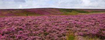 Bed and breakfasts a Goathland