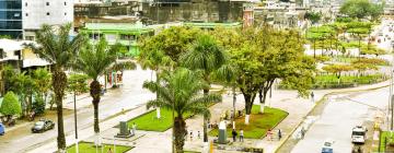 Hotels a Tingo María