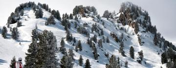 Ski Resorts in Grün