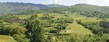 Holiday Homes in Pratovecchio